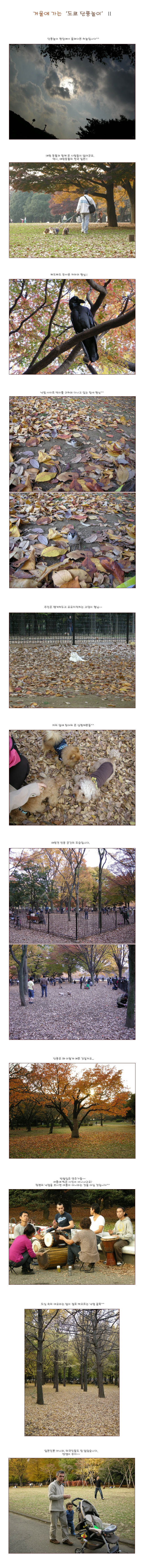 [ �� �� ] �ܿ￡ ���� '���� ��ǳ����' ��